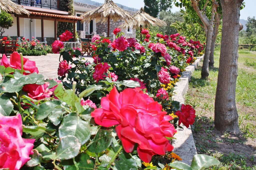 Villa Vicky Pétra Extérieur photo